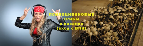 эйфоретик Снежногорск